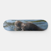 Zeeleeuw Skateboard (Horizontaal)