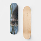 Zeeleeuw Skateboard (Voorkant)