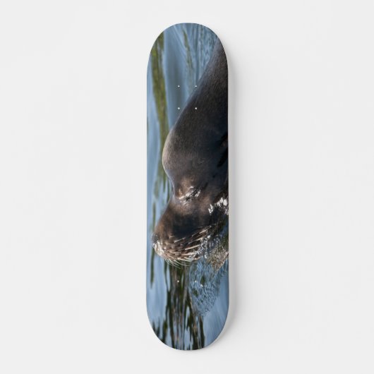 Zeeleeuw Skateboard (Voorkant)