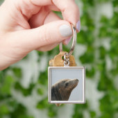 Zeeleeuw Sleutelhanger (Hand)
