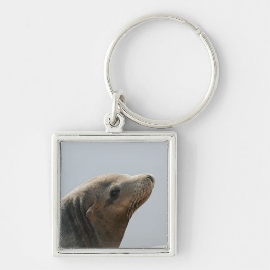 Zeeleeuw Sleutelhanger (Voorkant)