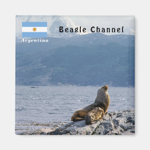 Zeeleeuwen in Beagle kanaal - Argentinië Magneet