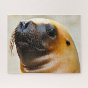 Zeeleeuwen Legpuzzel