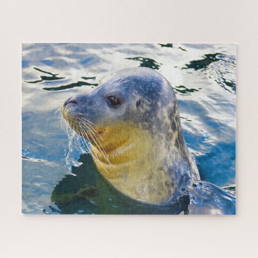 Zeeleeuwen Legpuzzel (Horizontaal)