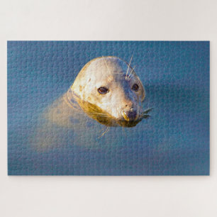 Zeeleeuwen Legpuzzel