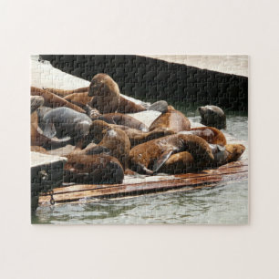 Zeeleeuwen zonnen in San Francisco Legpuzzel