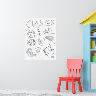 Zeeleven Handgetekend Zwart en Wit Poster