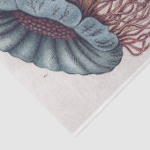 Zeeleven kwallen - Ernst Haeckel Decoupage Tissuepapier (Detail)