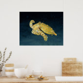 Zeeleven - Octopus Poster (Keuken)