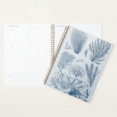 zeeleven planner (Display)