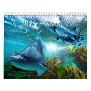 ZEELIJF EN OCEAANKUNST #2 Kalender