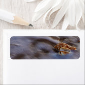 Zeeluiken op de labels van het Surf-retouradres (Insitu)