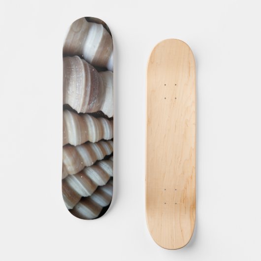Zeeluiken Zomstrand Exotic Tropical Skateboard (Voorkant)