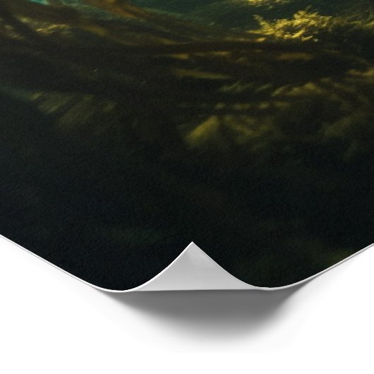 Zeemeermin in een kelp bos poster (Hoek)