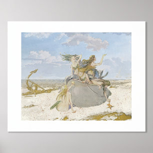 Zeemeermin  ontvlechting strand folie afdrukken