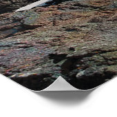 Zeemeermin op de kust poster (Hoek)