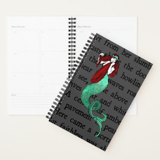  zeemeermin planner (Display)