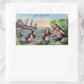  zeemeermin Stickers (Tas)