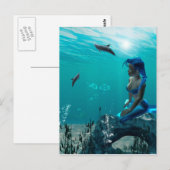 Zeemeermin zit op een rots briefkaart (Voorkant / Achterkant)