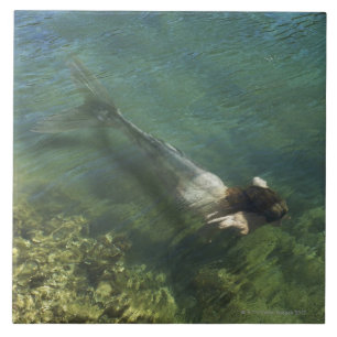 Zeemeermin zwemt onder water tegeltje