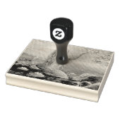 zeemeervis rubberstempel (Stempel)