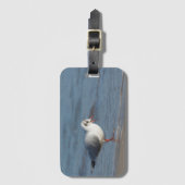 zeemeeuw bagagelabel (Voorkant (verticaal))