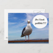 zeemeeuw briefkaart (Voorkant / Achterkant)