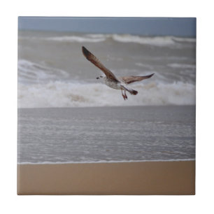 Zeemeeuw die over Strand naar Oceaan vliegt Tegeltje