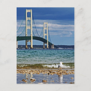 Zeemeeuw door Mackinac Bridge Briefkaart