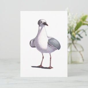 zeemeeuw feestdagenkaart