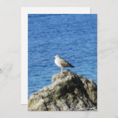 zeemeeuw feestdagenkaart (Voorkant / Achterkant)