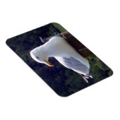 Zeemeeuw Horizontale Flexibele Fotomagneet Magneet (Rechterzijde)