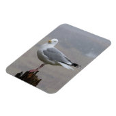 Zeemeeuw in Sneeuw Verticale Flexibele Fotomagneet Magneet (Linkerzijde)