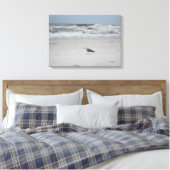 Zeemeeuw langs de oceaan op Canvas Afdruk (Insitu (Slaapkamer))
