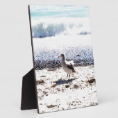 zeemeeuw langs de oceaan op het strand afbeelding fotoplaat (Zijkant)