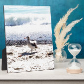 zeemeeuw langs de oceaan op het strand afbeelding fotoplaat (Zijkant)