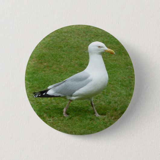 Zeemeeuw loopt in het Park Ronde Button 5,7 Cm (Voorkant)