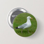 Zeemeeuw loopt in het Park Ronde Button 5,7 Cm (Voorkant /achterkant)