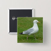 Zeemeeuw loopt in het Park Vierkante Button 5,1 Cm (Voorkant /achterkant)