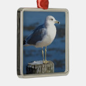 zeemeeuw metalen ornament (Rechts)