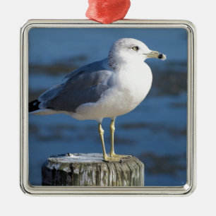 zeemeeuw metalen ornament