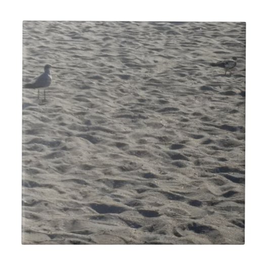 Zeemeeuw op Cocoa Beach Tegeltje (Voorkant)