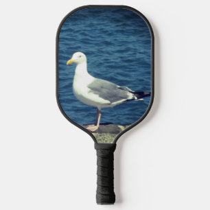 Zeemeeuw op de baai pickleball paddle