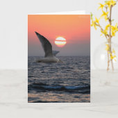 Zeemeeuw op de Meerdere van het Meer Kaart (Gele Bloem)