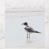 Zeemeeuw op het strand Classic Wijn Etiket (Enkel label)