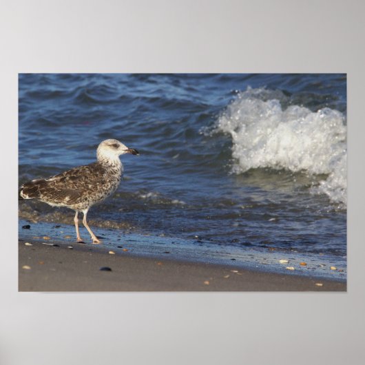 Zeemeeuw op het strand met Wave Poster (Voorkant)