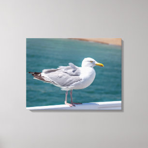 Zeemeeuw op leuningen uitzicht canvas print