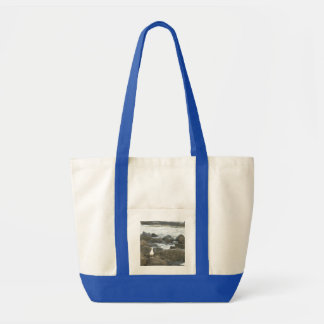 Zeemeeuw op rotsen tote bag