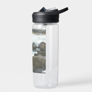 Zeemeeuw op rotsen waterfles