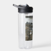 Zeemeeuw op rotsen waterfles (Rechts)